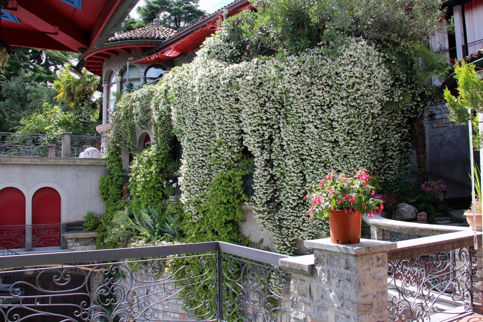 Barony Le Pergole Holiday Apartments ลูกาโน ภายนอก รูปภาพ